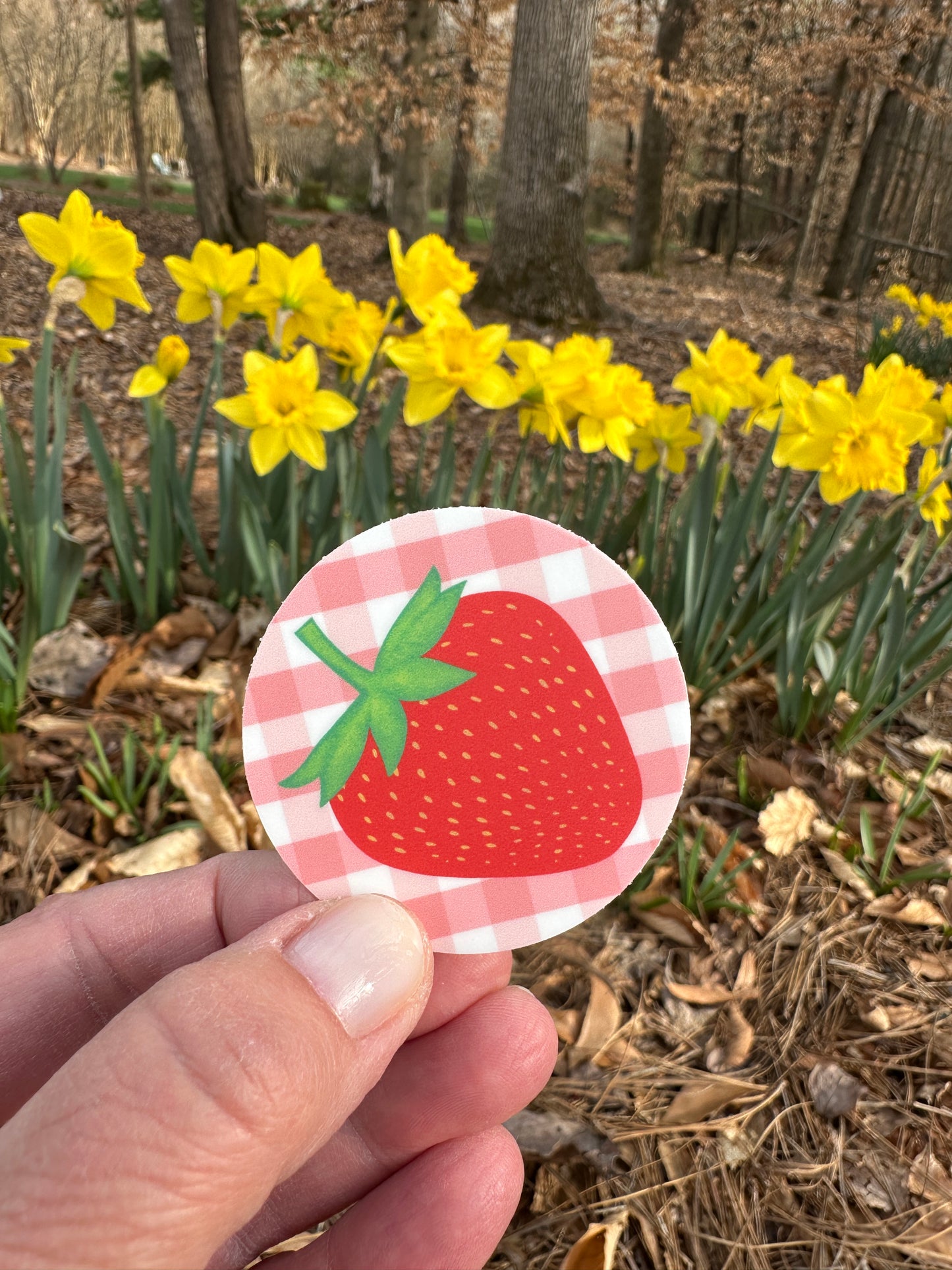 Gingham Strawberry Sticker
