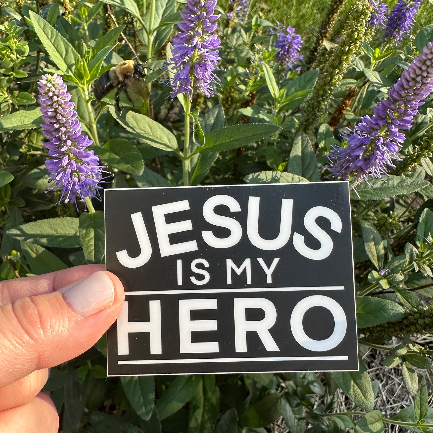 Jesus Is My Hero - Sicker
