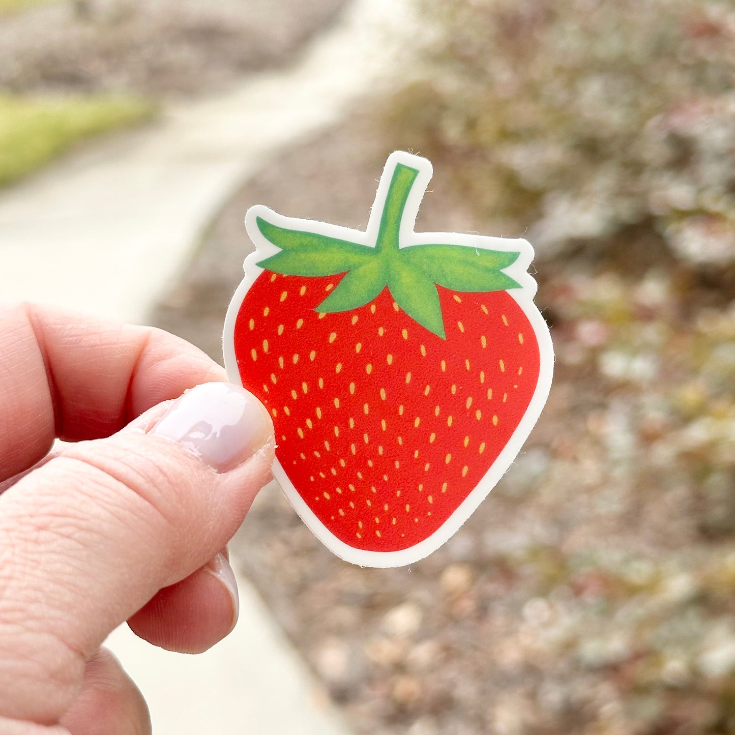 Strawberry Sticker