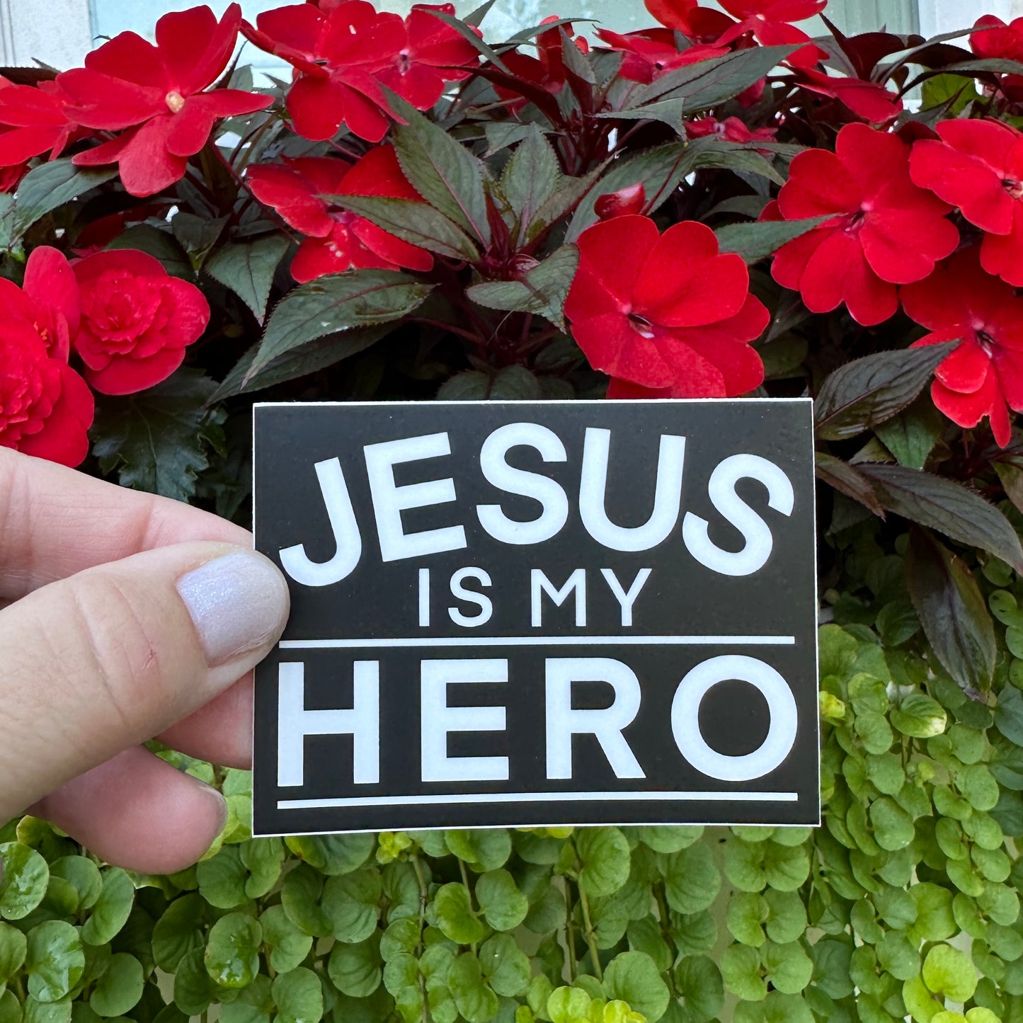 Jesus Is My Hero - Sicker